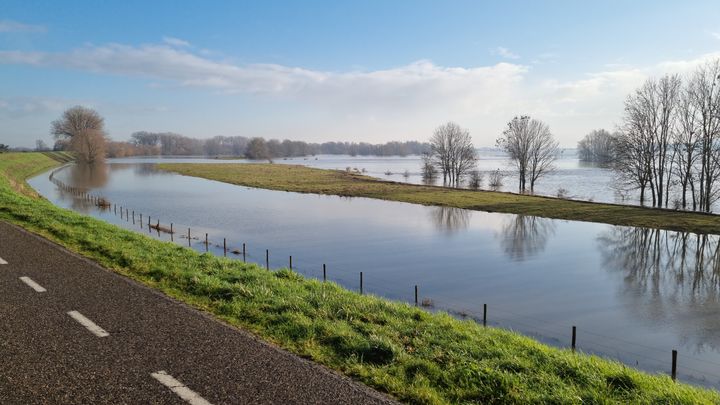 Hoogwater Uiterwaarden